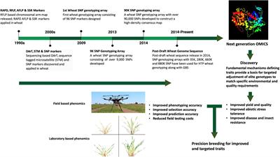 Capturing Wheat Phenotypes at the Genome Level